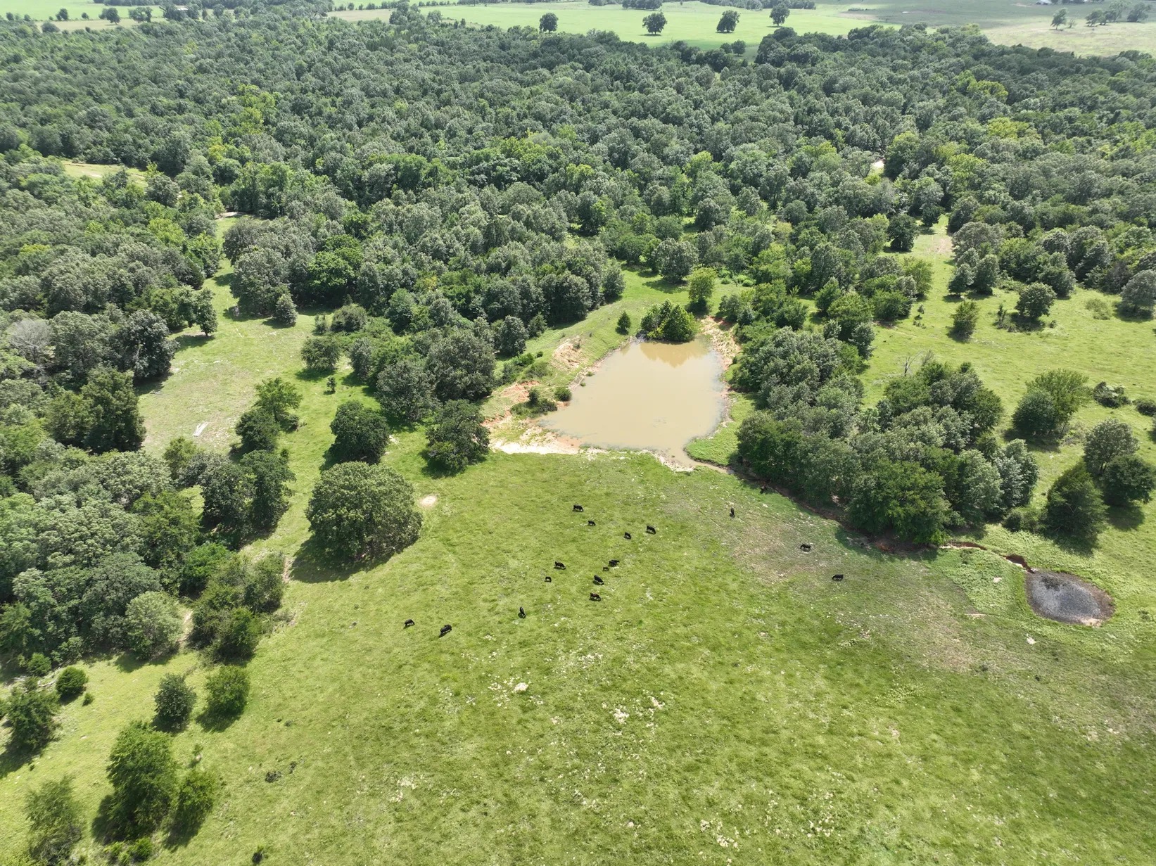 Stocked pond, pasture and cattle viewed from above