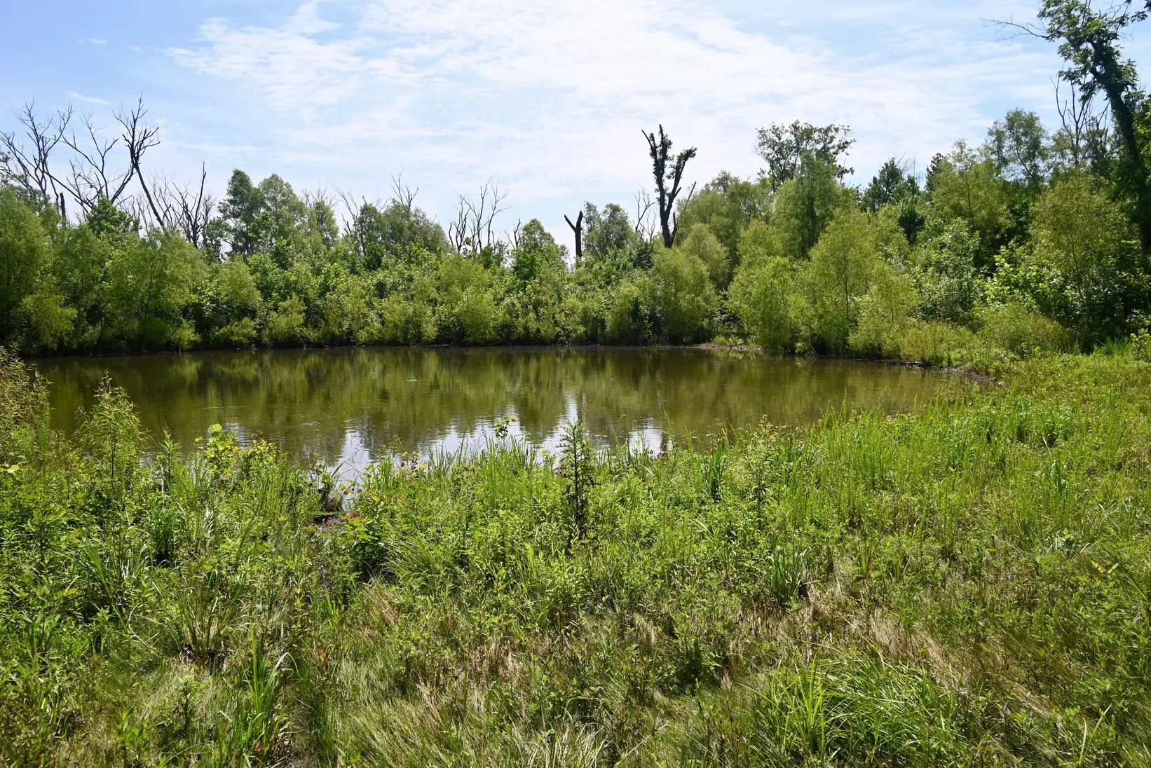 One of six stocked ponds at Rolling Stone Ranch