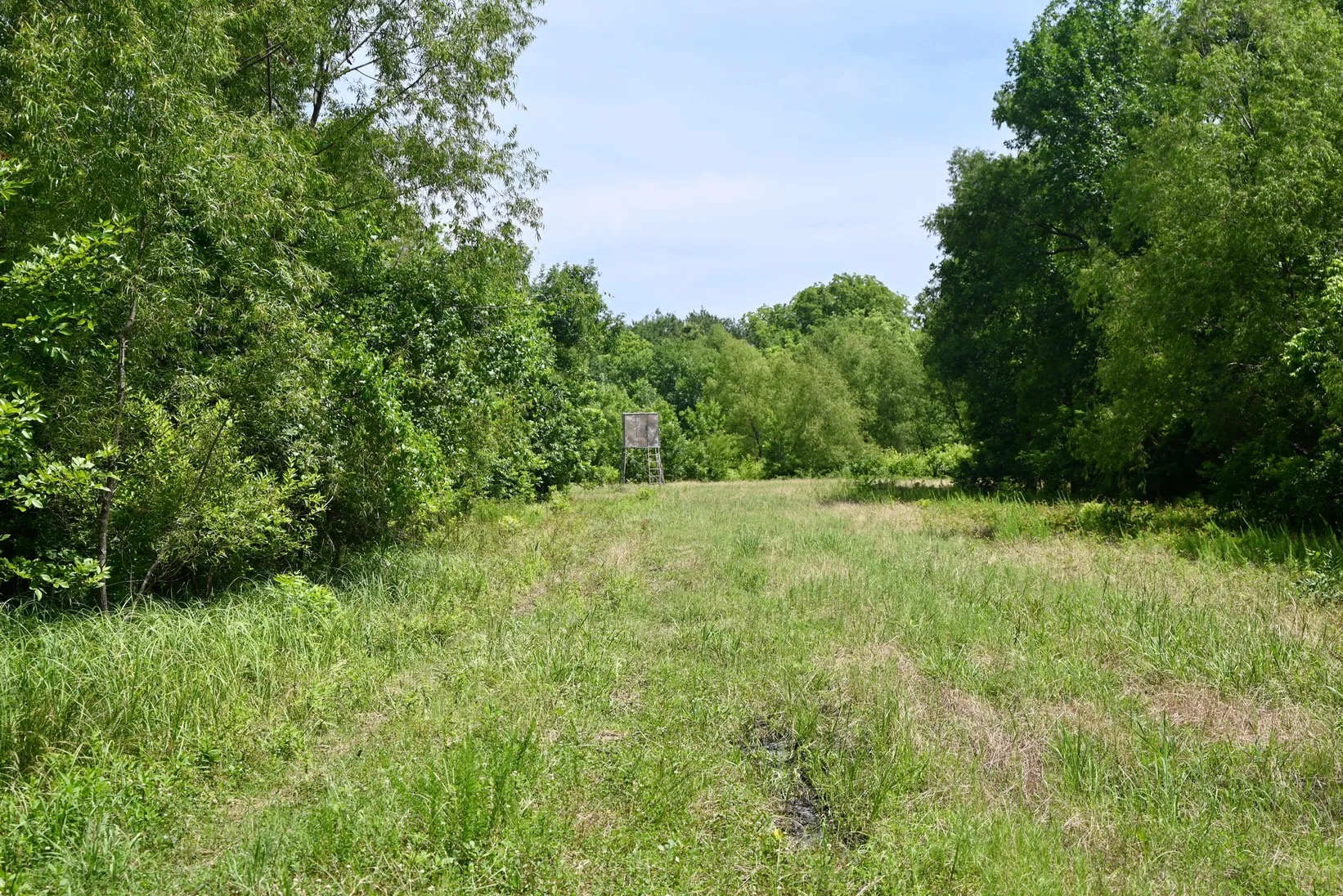 Hunting stand positioned along timber and pasture habitat