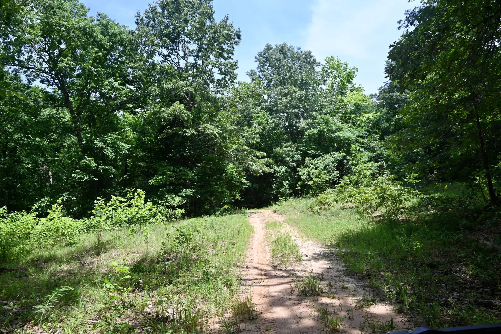 Wooded trail suitable for ATV riding and horseback exploration
